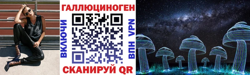 гидра зеркало  цены   Хадыженск  Псилоцибиновые грибы Cubensis 