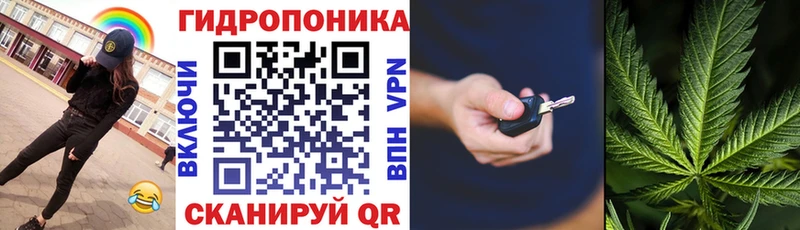 Шишки марихуана тримм  где найти наркотики  Хадыженск 